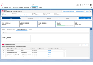 financialForce Software
